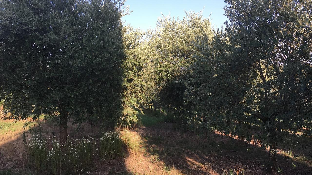 Casa Vacanze Soleluna Montichiari Exteriér fotografie